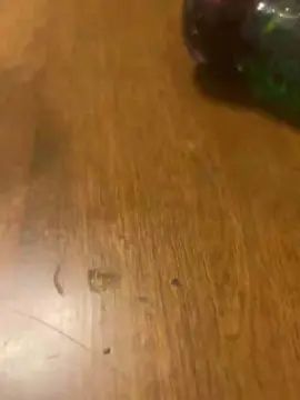 Gay sex chat with miguel2856 - camgaychat.com - Spain