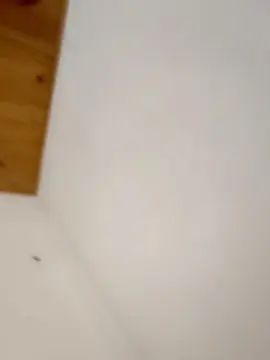 Gay sex chat with nacho718 - camgaychat.com - Britain