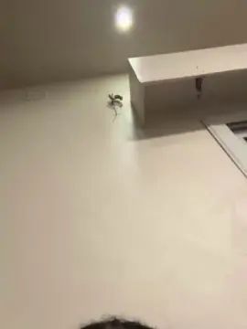 Gay sex chat with Lilouyoung - camgaychat.com - France