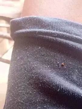 Gay sex chat with PAuzudomf - camgaychat.com - Portugal