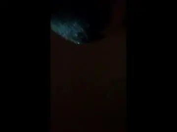 Gay sex chat with hahasowat - camgaychat.com - Britain