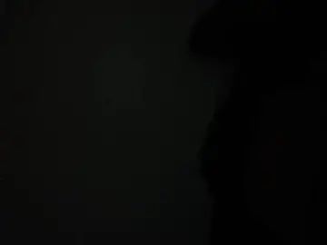 Gay sex chat with spinedav - camgaychat.com - Spain