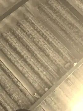 Gay sex chat with galdas71 - camgaychat.com - Portugal