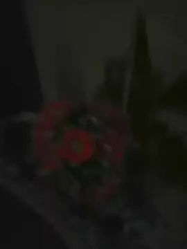 Gay sex chat with lulu3561 - camgaychat.com - Britain