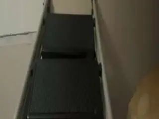 Gay sex chat with diversecutzz504 - camgaychat.com