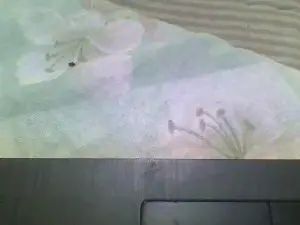 Gay sex chat with negro893 - camgaychat.com - Spain