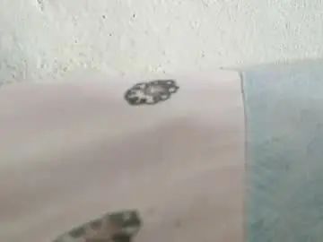 Gay sex chat with llee80776 - camgaychat.com - Britain