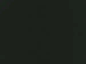 Gay sex chat with tupapipollon20c - camgaychat.com - Spain