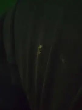 Gay sex chat with Diegomezone - camgaychat.com