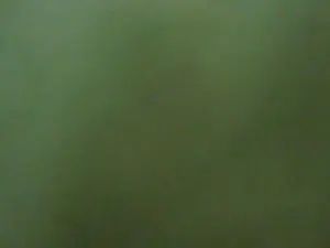 Gay sex chat with matty_0303 - camgaychat.com - Italy