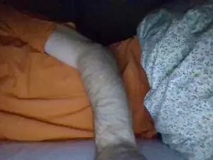 Gay sex chat with junsdgf - camgaychat.com - Denmark