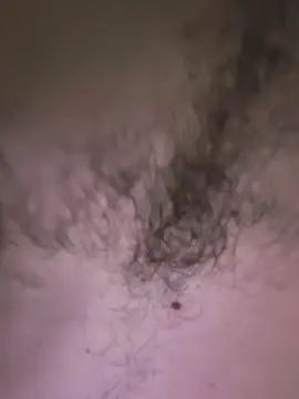 Gay sex chat with Cicero294 - camgaychat.com - France