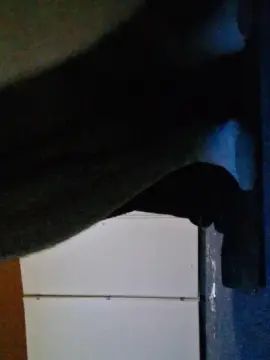 Gay sex chat with PoleHungLad - camgaychat.com - Britain