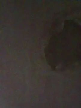 Gay sex chat with pretin45 - camgaychat.com - Portugal