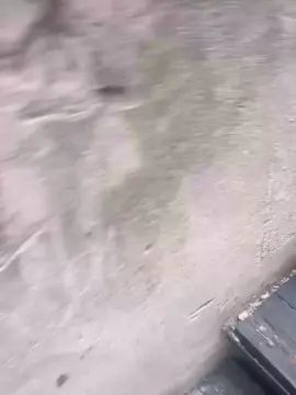 Gay sex chat with xavier021 - camgaychat.com - Spain