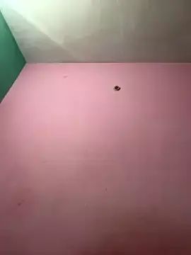 Gay sex chat with Your_daddy_544 - camgaychat.com - Britain - India