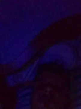 Gay sex chat with tunene25hot - camgaychat.com