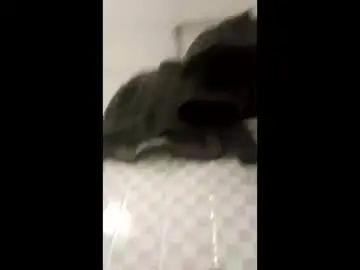 Gay sex chat with sabbirso - camgaychat.com - Britain