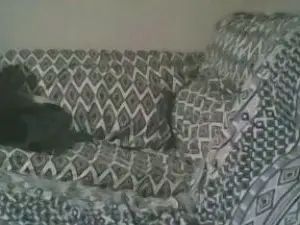 Gay sex chat with pareja3736 - camgaychat.com - Britain