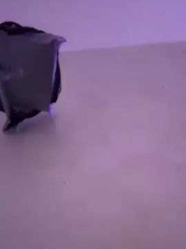 Gay sex chat with marcaura - camgaychat.com - Italy