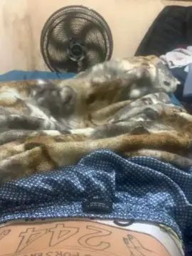 Gay sex chat with Caduzin244 - camgaychat.com - Portugal