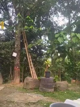 Gay sex chat with ImBent - camgaychat.com - Portugal