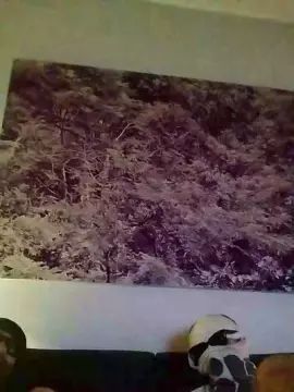 Gay sex chat with Silvertiger777 - camgaychat.com - Portugal