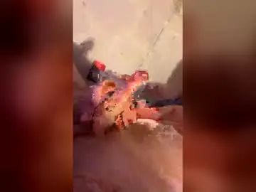 Gay sex chat with groscochon1309 - camgaychat.com - Britain