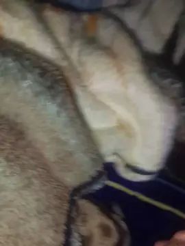 Gay sex chat with Cachondo2027 - camgaychat.com - Spain