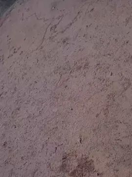 Gay sex chat with NOVIMPIKUDOO - camgaychat.com - Portugal