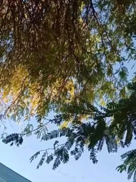 Gay sex chat with Openup23 - camgaychat.com - Britain