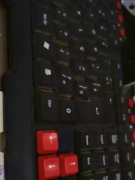 Gay sex chat with Regisbedem - camgaychat.com - Portugal