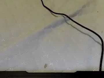 Gay sex chat with oibrev49 - camgaychat.com - Britain