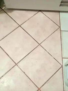 Gay sex chat with Solosex84 - camgaychat.com - Italy