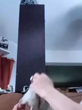 Gay sex chat with Cheessy0908 - camgaychat.com - Germany