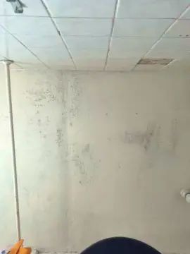 Gay sex chat with Gnxxx4 - camgaychat.com - Spain