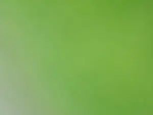 Gay sex chat with williamxp21 - camgaychat.com - Spain