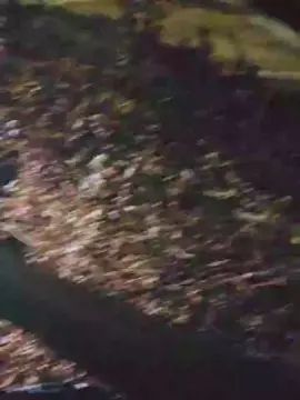 Gay sex chat with Algerinobig - camgaychat.com - Italy