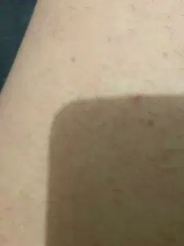 Gay sex chat with Novin__sfd - camgaychat.com - Portugal