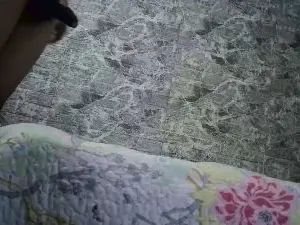 Gay sex chat with ELBIGOTUDO - camgaychat.com - Spain