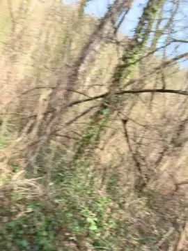 Gay sex chat with michel1807 - camgaychat.com - France