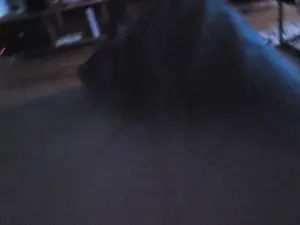 Gay sex chat with dogslave66 - camgaychat.com - Germany