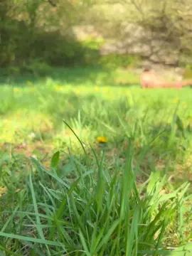 Gay sex chat with Justfunfranko - camgaychat.com - Germany