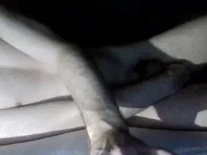 Gay sex chat with junuitr - camgaychat.com - Denmark