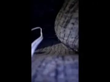 Gay sex chat with dar950914 - camgaychat.com - Britain