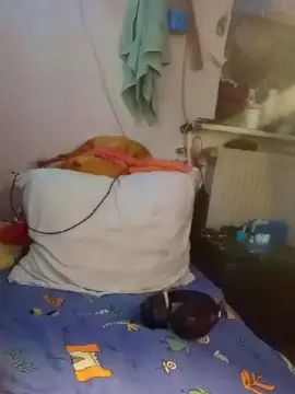 Gay sex chat with DrHuelsentrieb - camgaychat.com - Germany