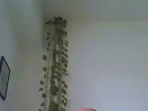 Gay sex chat with Joe77990 - camgaychat.com