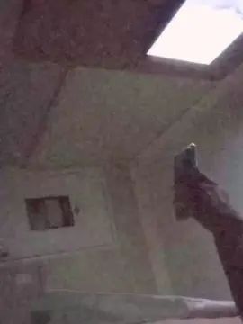 Gay sex chat with magro49 - camgaychat.com - Portugal