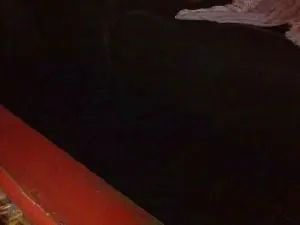 Gay sex chat with Marko94200 - camgaychat.com - France