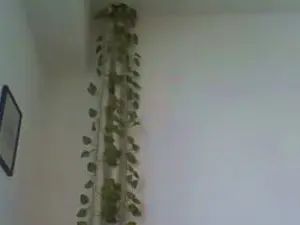 Gay sex chat with Joe7791 - camgaychat.com - Bulgaria